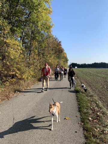 wandertag2019039