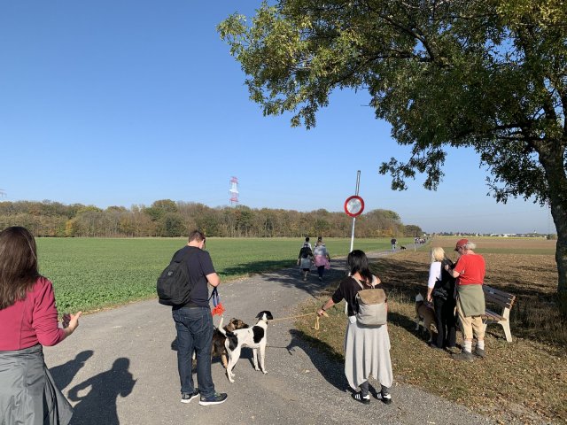 wandertag2019042